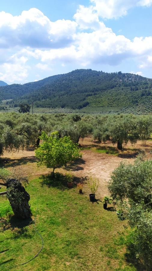 Villa Thomi Skala Rachoni  Buitenkant foto