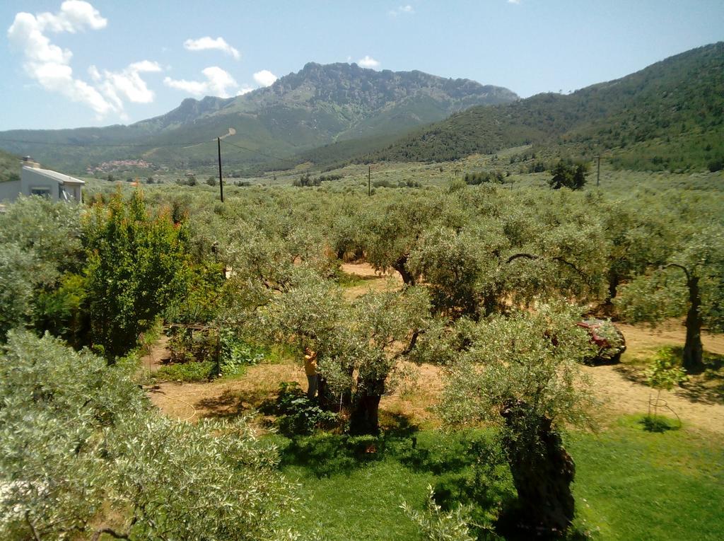 Villa Thomi Skala Rachoni  Buitenkant foto