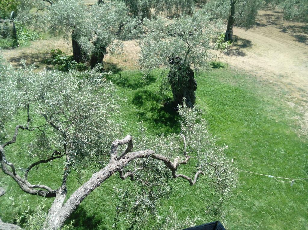 Villa Thomi Skala Rachoni  Buitenkant foto