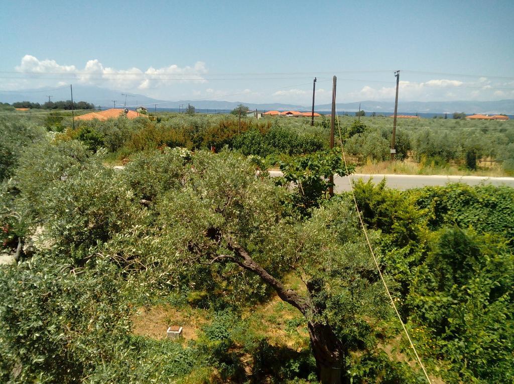 Villa Thomi Skala Rachoni  Buitenkant foto