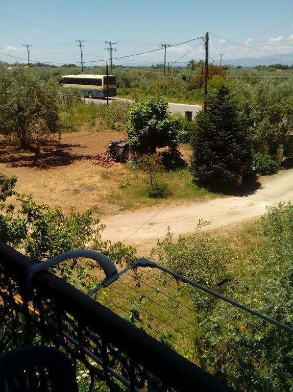 Villa Thomi Skala Rachoni  Buitenkant foto