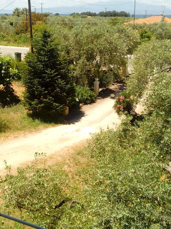 Villa Thomi Skala Rachoni  Buitenkant foto