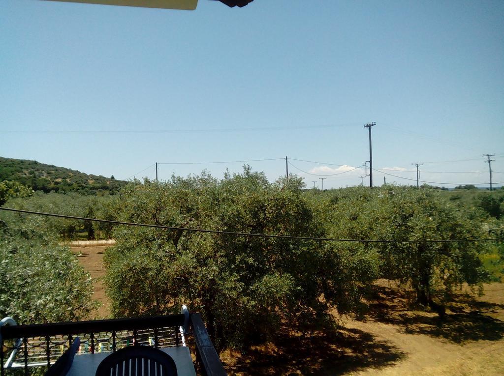 Villa Thomi Skala Rachoni  Buitenkant foto